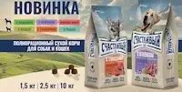 Счастливый пес